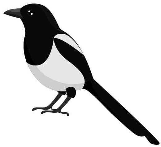 Newcastle upon Tyne Stretch-n-Grow