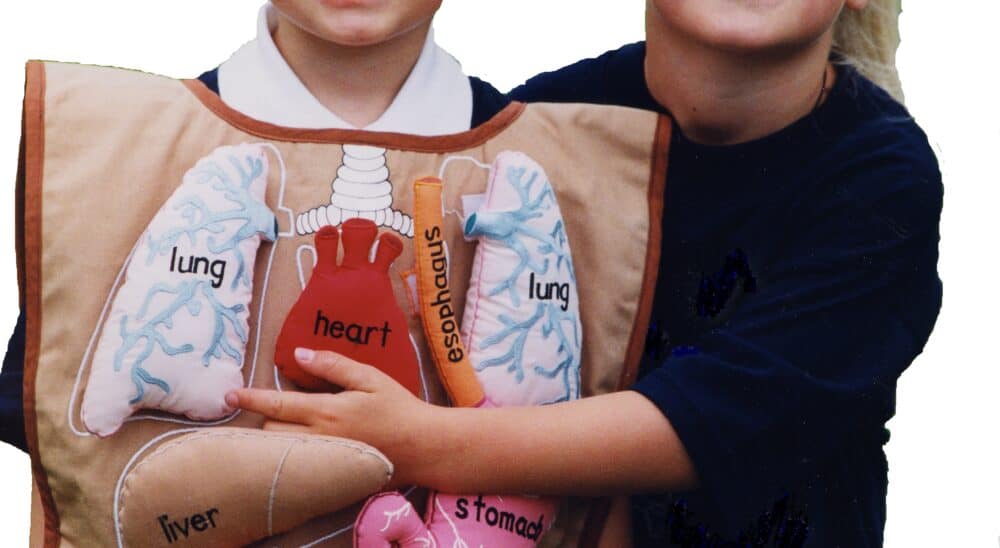 Whats inside my body