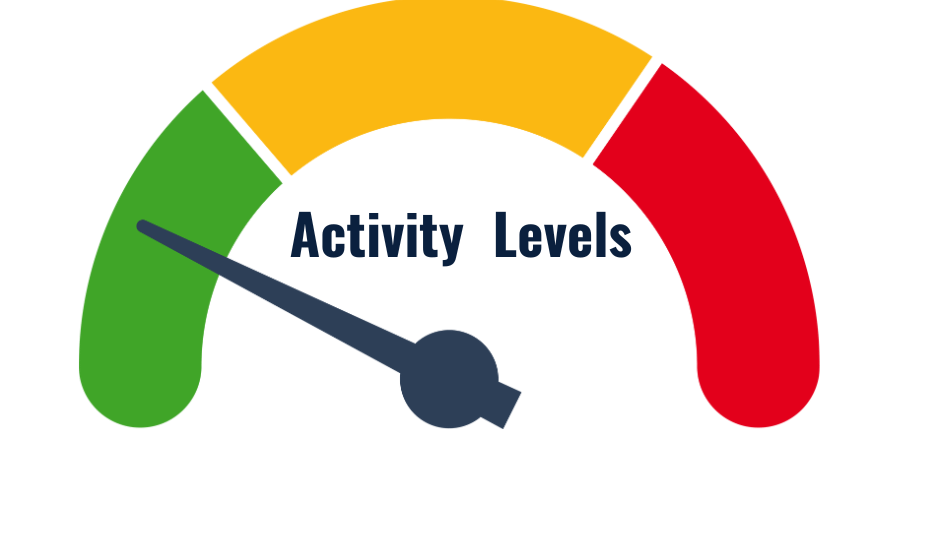 Children's Activity